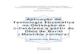 UNIVERSIDADE FEDERAL DO RIO DE JANEIROepqb.eq.ufrj.br/download/beta-caroteno-a-partir-de-oleo... · 2013-08-07 · aplicaÇÃo de tecnologia enzimÁtica na obtenÇÃo de β-caroteno