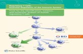Regulatory T Cells: Essential Regulators of the Immune System · 2020-03-28 · CD25high FoxP3+ Natural Treg Naïve T Cell CD4+ CD25+ CD45RO+ Memory T Cell Induced Treg and/or TGF