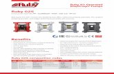 Ruby 025 - ALPHADYNAMIC PUMPS · Air Valve of the Ruby Diaphragm Pumps has been created to oﬀer: a Oil free operation a Low need for maintenance a Not aﬀected by minor contamination
