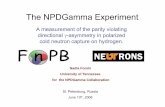 The NPDGamma Experimentcns.pnpi.spb.ru/7UCN/articles/Fomin2.pdf · 2009-06-13 · The NPDGamma Experiment A measurement of the parity violating directional γ-asymmetry in polarized