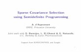 Sparse Covariance Selection using Semideﬁnite Programmingaspremon/PDF/SIAM06am.pdfSparse Covariance Selection using Semideﬁnite Programming A. d’Aspremont ORFE, Princeton University