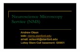 Neuroscience Microscopy Service (NMS) 2P summary ! pulsed infrared laser " less scattering " deeper penetration non-linear absorption " restricted excitation volume " useful for spatially
