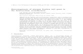 Rearrangements of nitrogen fixation (nif genes in the ...repository.ias.ac.in/823/1/384.pdf · Rearrangements of nitrogen fixation (nif) genes in the heterocystous cyanobacteria S