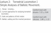 Lecture 2: Terrestrial Locomotion I Simple Analyses …courses.washington.edu/biomechs/lectures/lecture02.pdfSurvey question: the moon has 1/6 earth g. Because of that lower gravitational