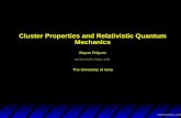 Cluster Properties and Relativistic Quantum …homepage.physics.uiowa.edu/~wpolyzou/talks/ncstate.pdfCluster Properties and Relativistic Quantum Mechanics Wayne Polyzou polyzou@uiowa.edu