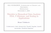 Wavelets in Biomedical Data Analysis: FDA, ¢Œ-Minimax, and ... Wavelets in Biomedical Data Analysis: