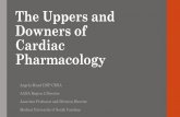 The Uppers and Downers of Cardiac Pharmacology€¦ · Vasopressors for shock • Gramper, et al (2016) Cochrane Collaboration Review • Comparison of vasopressor regimens (all RCTs)