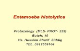 Entamoeba histolytica · Entamoeba coli life cycle stages 2. CYST - encystment is similar to that of E. histolytica - immature cysts are rare in fecal smears - mature cyst is large,