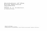 Evolution of the First Nervous Systems - uni- · PDF file 6. Gap Junctions in the Nervous System 11 7. Gap Junctions in the Cnidaria 13 8. Gap Junctions and the Evolution of the First