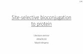 Site-selective bioconjugation to proteinkanai/seminar/pdf/Lit_T_Ishiyama_B4.pdf · 2019-11-02 · Ligand-directed selective bioconjugation •Problem Modification point is limited