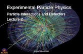 Experimental Particle Physics Particle Interactions and ... · PDF file Ionisation Detectors Ionisation used to detect particles in different ways: 1. Observe physical or chemical