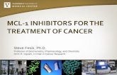 MCL-1 INHIBITORS FOR THE TREATMENT OF CANCER Fesik.pdf · MCL-1 INHIBITORS FOR THE TREATMENT OF CANCER. Steve Fesik, Ph.D. Professor of Biochemistry, Pharmacology, and Chemistry.