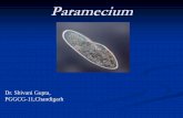 Paramecium - P.G.G.C.G.-11, E-Content Management Portalcms.gcg11.ac.in/attachments/article/228/Dr. Shivani_Paramecium.pdf · Paramecium is a group of unicellular ciliate protozoa,