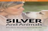SILVER - Amazon Web Services · 6. Promotes oral health: Silver can help reduce tooth plaque and decay, and minimize bad breath. it also is effective for mouth and jaw infections.