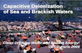 Capacitive Deionization of Sea and Brackish Waters · Capacitive Deionization of Sea and Brackish Waters Clean Drinking Water and Storing Energy! OECD Paris 2009
