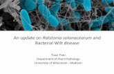 An update on Ralstonia solanacearum and Bacterial Wilt …...An update on Ralstonia solanacearum and Bacterial Wilt disease Tuan Tran Department of Plant Pathology. University of Wisconsin