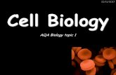 Cell Biology - Paignton Community and Sports Academy · Cell Biology AQA Biology topic 1 ... Plant and Animal cells (eukaryotic cells) Eukaryotic cells have these features: Cell Membrane