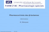 Pharmacochimie des β-lactames - UCLouvain · Pharmacochimie des beta-lactames 2005-2006 33 β-lactamases • Les β-lactames peuvent être hydrolysés par des β-lactamases • 4