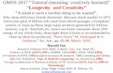 GMSS 2017 “Tutorial (meaning: creatively learned ... · GMSS 2017 “Tutorial (meaning: creatively learned)” “Longevity and Creativity” “A mind is such a terrible thing