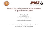 Results and Perspectives from the NA62 Experiment at CERN · 2016-03-07 · Results and Perspectives from the NA62 Experiment at CERN Michal Koval’ (michal.koval@cern.ch) Comenius