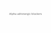 Alpha adrenergic blockers - كلية الطب · 2020-01-22 · General Effects of alpha Blockade - CVS Arteriolar and venous tone are determined to a large extent by receptors on