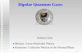 Dipolar Quantum Gases - Freie Universitä pelster/Talks/dipolgases.pdf · PDF file Z d3xn(x,t)Utrap(x) = MN 14 ` ω2 xR 2 x(t) + ω y 2R2y(t) + ω2 zR 2 z(t) ´ • Contact Interaction