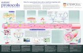 WA900280-Roles for mesenchymal stem cells as medicinal ... · Roles for mesenchymal stem cells as medicinal signaling cells Rodrigo A Somoza 1, Diego Correa 1,2 & Arnold I Caplan
