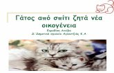 Γάτος από σπίτι ζητά νέα οικογένειαdiki.logmedia.com/ekpaideftiko-yliko/dimotiki/glossa_kai_politismos/... · ΕΥΡΥΔΙΚΗ ΑΝΝΙΒΑ Γάτος