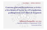 Gamma-glutamyltransferase activity: a biochemical factor ... · Gamma-glutamyltransferase activity: a biochemical factor in cell regulation, pathogenesis and clinical diagnosis Alfonso