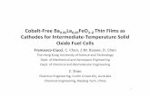 Cobalt-Free Ba0.95La0.05FeO Cathodes for Intermediate ... · Cathodes for Intermediate-Temperature Solid Oxide Fuel Cells 1 Francesco Ciucci, C. Chen, Z.M. Baiyee, D. Chen The Hong