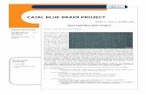 CAJAL BLUE BRAIN PROJECT · Blue Brain 2012 Cajal Blue Brain Project 2 Most Relevant Contributions. 3 External Funding Plan 2012 Participation in other projects and actions 2013 Alzheimer