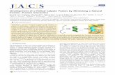 Development of α Helical Calpain Probes by Mimicking a ...ase.tufts.edu/chemistry/kumar/jc/pdf/Greenbaum_12.pdf · surrogates,31,32 ring-closing metathesis,33−36 cysteine alkylation