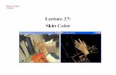 Lecture 27: Skin Color - Penn State College of …rtc12/CSE486/lecture27.pdfDescribing Color Today we consider a sample material, human skin, and look at two approaches to describe
