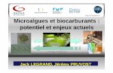 Microalgues et biocarburants : potentiel et enjeux actuels · 2018-10-08 · Microalgues, Cyanobacteries Croissance par photosynthèse : Milieu entièrement minéral , sans apport