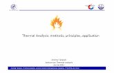 Thermal Analysis: methods, principles, applicaon · Ag 961,8 ‐104,6 Au 1064,2 Unalloeyd steels 1147‐1536 ‐ Ni 1455,0 ‐290,4 Pd 1554,8 ‐157,3 General Theory Calibration Standards