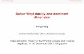 Schur-Weyl duality and dominant dimension · Schur-Weyl duality and dominant dimension Ming Fang Institute of Mathematics, Chinese Academy of Sciences ... Given an idempotent e in