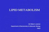 METABOLISM - Universitas Lipid metabolism is concerned mainly with ¢â‚¬¢ fatty acids ¢â‚¬¢ cholesterol Source