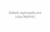Diabetic nephropathy and Lupus Nephritis...Nephropathy •Type 1 diabetic patients with microalbuminuria have a median risk ratio of 21 for developing diabetic nephropathy, •Type