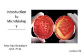 Microbiolog to Introduction y - JU Medicine · In 2005, the Karolinska Institute in Stockholm awarded the Nobel Prize in Physiology or Medicine to Marshall and Robin Warren, his long-time