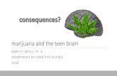 marijuana and the teen brain - pages.ucsd.edupages.ucsd.edu/~mboyle/COGS11/COGS11-website/pdf... · marijuana and the teen brain MARY ET BOYLE, PH. D. DEPARTMENT OF COGNITIVE SCIENCE.