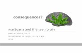 xx-marijuana and the teen brain - UCSD Cognitive Sciencemboyle/COGS11/COGS11-website/pdf-files/0… · marijuana and the teen brain MARY ET BOYLE, PH. D. DEPARTMENT OF COGNITIVE SCIENCE