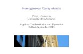 Peter J. Cameron University of St Andrews Algebra ...pjc/talks/acda13/hco1.pdf · (model-completeness), Ramsey theory, and topological dynamics (extremely amenable groups). Example