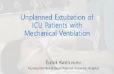 Unplanned Extubation of ICU Patients with Mechanical KWON.pdf · PDF file (Ⅱ)SNUH cases ;unplanned extubation of ICU patients with mechanical ventilation •Outcome of unplanned