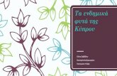 Τα ενδημικά φυτά της Κύπρουdim-peristerona-lef.schools.ac.cy/data/uploads/... · Τα ενδημικά φυτά της Κύπρου Εένη Σαββίδου