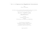 K ˇ,1 Spaces in Algebraic Geometry - Piotr › thesis.pdf · PDF file K(ˇ,1)Spaces in Algebraic Geometry by Piotr Achinger Doctor of Philosophy in Mathematics University of California,