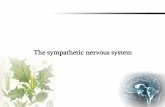 The sympathetic nervous system€¦ · Sympatholytics. Sympathomimetics. o Cardiovascular system o positive chronotropic o positive inotropic o vasoconstriction (α 1-agonists) o