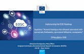Implementing the EOSC Roadmap - Αρχική Σελίδα · History of the EOSC file European Cloud initiative WP2018 H2020 – WP 2018-20 Implementation Roadmap Council conclusions