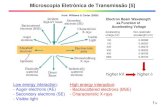 Microscopia Eletrônica de Transmissão [5] · 2017-08-27 · Microscopia Eletrônica de Transmissão [5] Low energy interaction: - Auger electrons (AE) - Secondary electrons (SE)