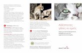γάτες κι εμείς - Adespotologio · η κακοποίηση ή δηλητηρίαση ζώων τιμωρείται με αυστηρά πρόστιμα και ποινή