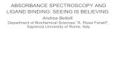ABSORBANCE SPECTROSCOPY AND LIGAND BINDING: SEEING …biochimica.bio.uniroma1.it/AdvancedCourses/NoveHrady2016d.pdf · ligand binding in HbCO, taking advantage of the high affinity